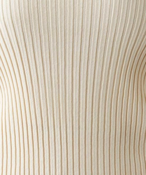 Leilian PLUS HOUSE / レリアンプラスハウス ニット・セーター | 【店舗人気】ハイネックニット【BOURGE】 | 詳細17