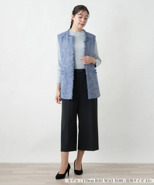 Leilian PLUS HOUSE / レリアンプラスハウス テーラードジャケット | 【店舗人気】ツイードベスト【プラス企画】 | 詳細1