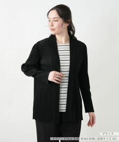 Leilian PLUS HOUSE / レリアンプラスハウス シャツ・ブラウス | 【店舗人気】ボーダーレイヤード風ブラウス【プラス企画】