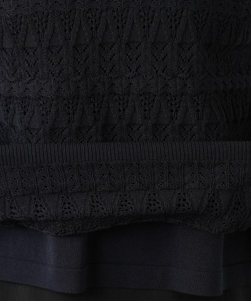 Leilian PLUS HOUSE / レリアンプラスハウス ニット・セーター | 【店舗人気】透かし編みニット | 詳細17