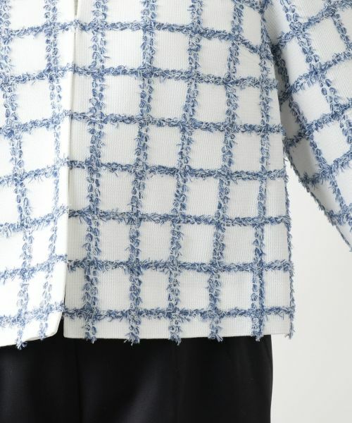 Leilian PLUS HOUSE / レリアンプラスハウス テーラードジャケット | 【店舗人気】ノーカラージャケット | 詳細10