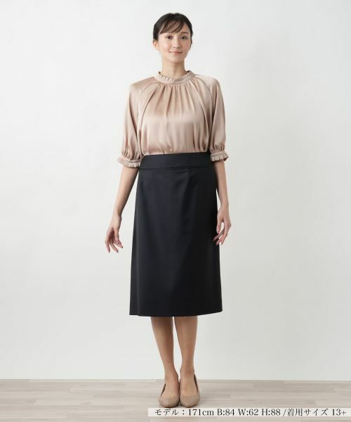 Leilian PLUS HOUSE / レリアンプラスハウス ミニ・ひざ丈スカート | 【店舗人気】タイトミディスカート | 詳細1