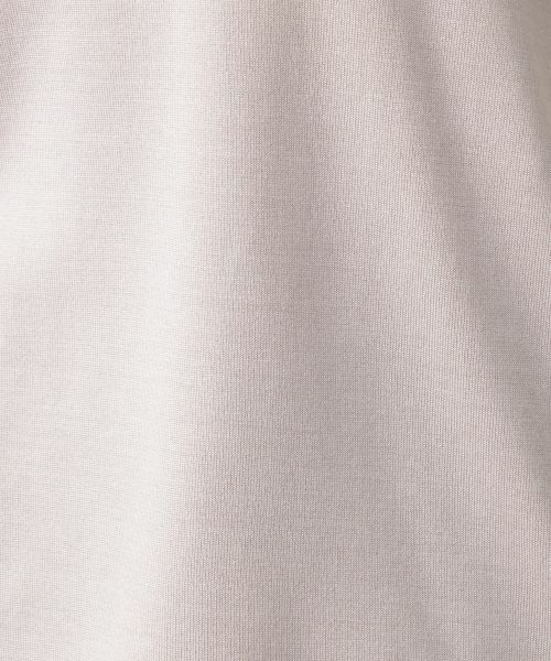 Leilian PLUS HOUSE / レリアンプラスハウス ニット・セーター | ライン配色半袖ニット | 詳細17