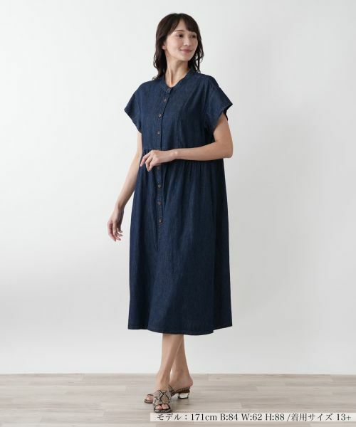 Leilian PLUS HOUSE / レリアンプラスハウス ドレス | 【店舗人気】バンドカラーワンピース | 詳細1