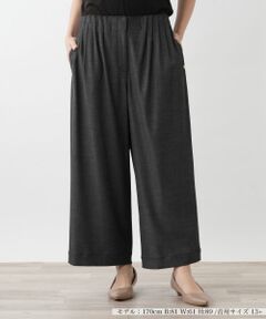 Leilian PLUS HOUSE / レリアンプラスハウス その他パンツ | 【店舗人気】ストレッチガウチョパンツ