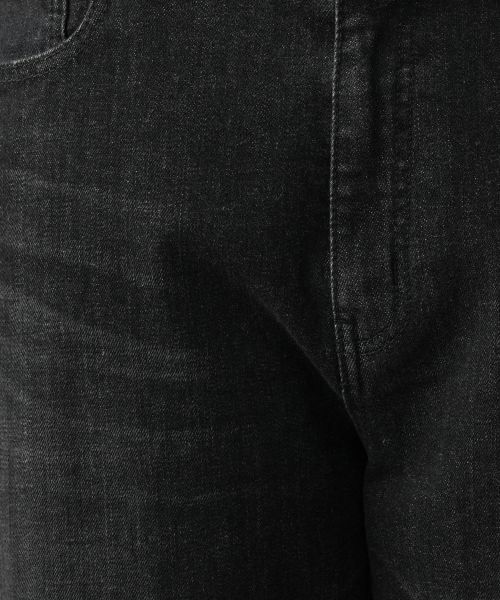 Leilian PLUS HOUSE / レリアンプラスハウス デニムパンツ | 【店舗人気】ブラックデニムパンツ【L JEANS】 | 詳細13