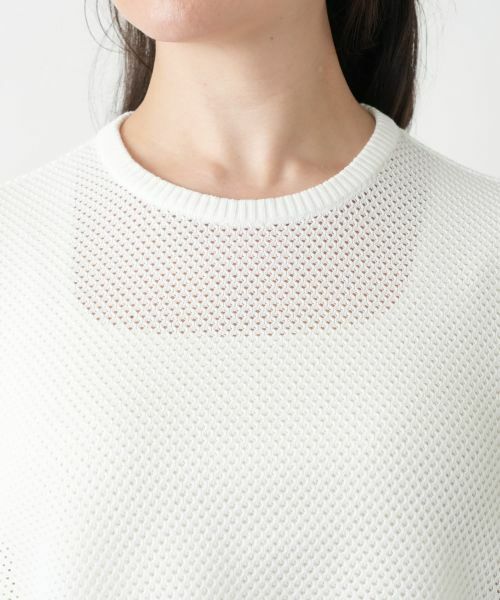 Leilian PLUS HOUSE / レリアンプラスハウス ニット・セーター | 【店舗人気】異素材切替クルーネックニット | 詳細7