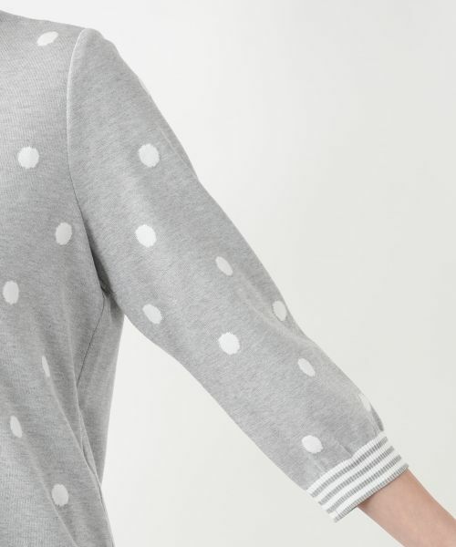 Leilian PLUS HOUSE / レリアンプラスハウス ニット・セーター | 【店舗人気】ドットクルーネックニット | 詳細12