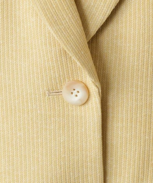 Leilian PLUS HOUSE / レリアンプラスハウス テーラードジャケット | 【店舗人気】ノッチドラペルジャケット | 詳細15