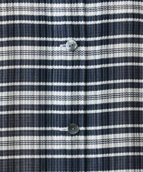 Leilian PLUS HOUSE / レリアンプラスハウス シャツ・ブラウス | 【店舗人気】チェックブラウス【Leilian WHITE LABEL】 | 詳細17