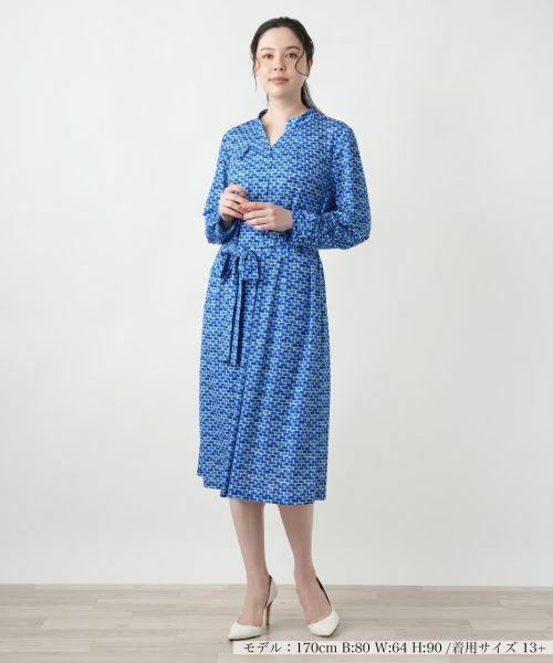 Leilian PLUS HOUSE / レリアンプラスハウス ドレス | プリントスキッパーフレアワンピース【ROCHAS Premiere】 | 詳細1