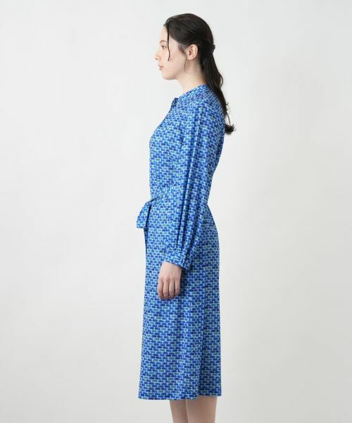 Leilian PLUS HOUSE / レリアンプラスハウス ドレス | プリントスキッパーフレアワンピース【ROCHAS Premiere】 | 詳細5