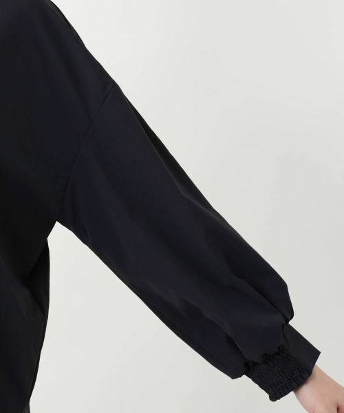 Leilian PLUS HOUSE / レリアンプラスハウス シャツ・ブラウス | 【店舗人気】洗えるブラウス | 詳細12