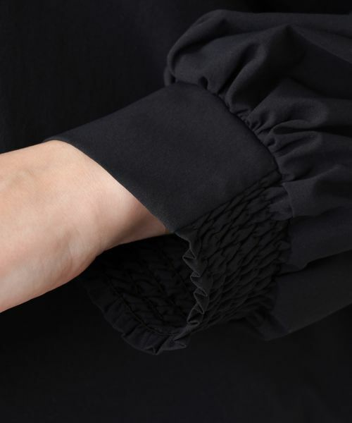 Leilian PLUS HOUSE / レリアンプラスハウス シャツ・ブラウス | 【店舗人気】洗えるブラウス | 詳細15