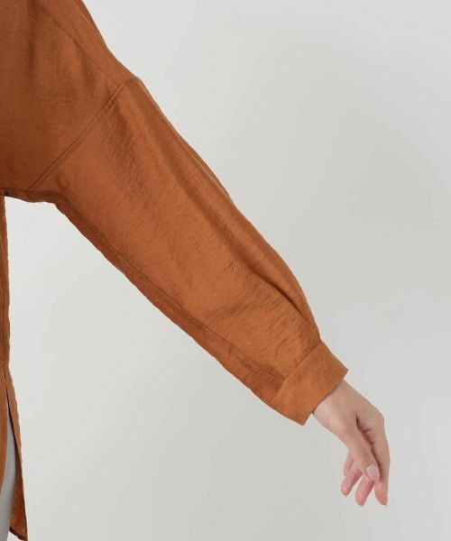 Leilian PLUS HOUSE / レリアンプラスハウス シャツ・ブラウス | 【店舗人気】バンドカラーブラウス【ROCHAS Premiere】 | 詳細12