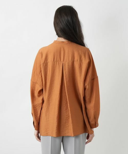 Leilian PLUS HOUSE / レリアンプラスハウス シャツ・ブラウス | 【店舗人気】バンドカラーブラウス【ROCHAS Premiere】 | 詳細9