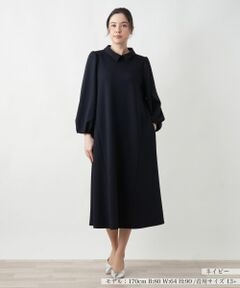 Leilian PLUS HOUSE / レリアンプラスハウス ドレス | 【店舗人気】セレモニー系ワンピ−ス【NEMIKA】