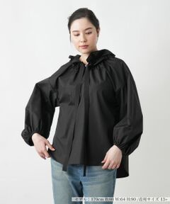 Leilian PLUS HOUSE / レリアンプラスハウス シャツ・ブラウス | 【店舗人気】スタンドフリルブラウス【NEMIKA】