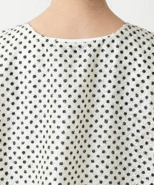 Leilian PLUS HOUSE / レリアンプラスハウス シャツ・ブラウス | 【店舗人気】ドットノースリーブトップス | 詳細11