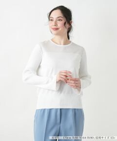 Leilian PLUS HOUSE / レリアンプラスハウス ニット・セーター | 【店舗人気】シアー切替プルオーバー【NEMIKA】