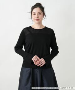 Leilian PLUS HOUSE / レリアンプラスハウス ニット・セーター | 【店舗人気】シアー切替プルオーバー【NEMIKA】