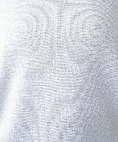 Leilian PLUS HOUSE / レリアンプラスハウス ニット・セーター | 【店舗人気】クルーネックニット【BOURGE】 | 詳細11