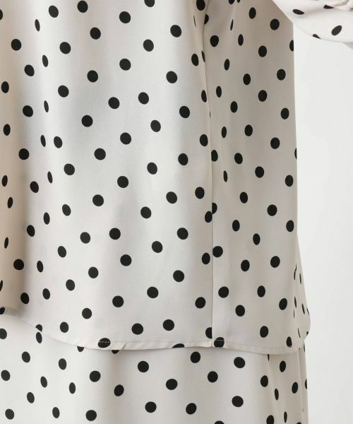Leilian PLUS HOUSE / レリアンプラスハウス シャツ・ブラウス | 【店舗人気】ドット柄ブラウス | 詳細13