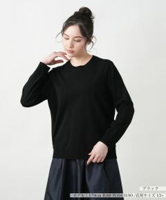 Leilian PLUS HOUSE / レリアンプラスハウス ニット・セーター | 【店舗人気】クルーネックプルオーバー【NEMIKA】