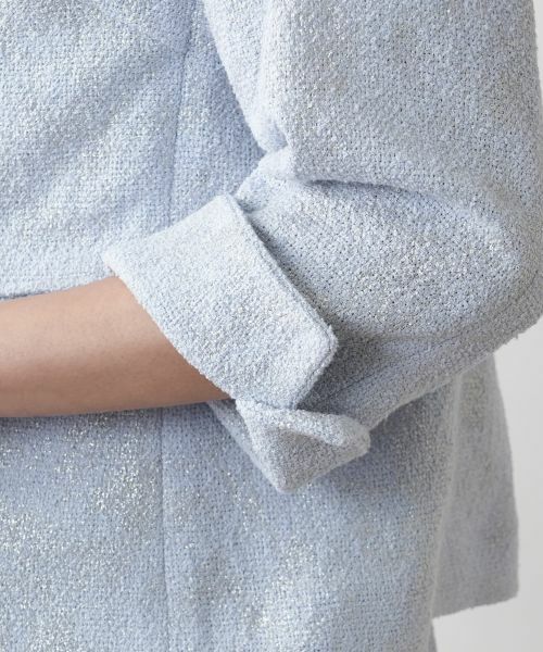 Leilian PLUS HOUSE / レリアンプラスハウス テーラードジャケット | ラメダブルジャケット【BOURGE】 | 詳細13