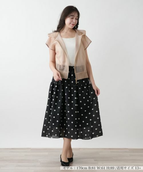 Leilian PLUS HOUSE / レリアンプラスハウス ミニ・ひざ丈スカート | 【店舗人気】ドットフレアスカート【NEMIKA】 | 詳細1