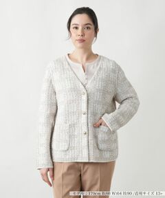 Leilian PLUS HOUSE / レリアンプラスハウス テーラードジャケット | 【店舗人気】Vネックニットジャケット