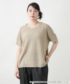 Leilian PLUS HOUSE / レリアンプラスハウス ニット・セーター | 【店舗人気】スパンコールニット【LE TRICOT PERUGIA】