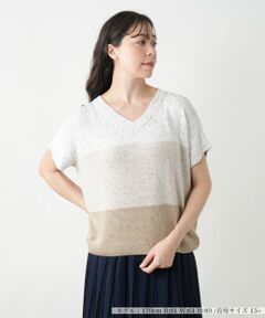 Leilian PLUS HOUSE / レリアンプラスハウス ニット・セーター | 【店舗人気】ラメ配色Vネックニット【LE TRICOT PERUGIA】