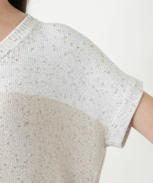 Leilian PLUS HOUSE / レリアンプラスハウス ニット・セーター | 【店舗人気】ラメ配色Vネックニット【LE TRICOT PERUGIA】 | 詳細9