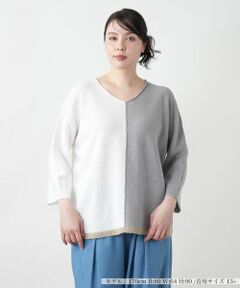 Leilian PLUS HOUSE / レリアンプラスハウス ニット・セーター | 配色Vネックニット【LE TRICOT PERUGIA】