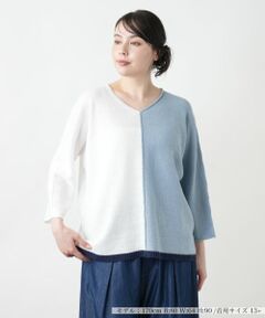 Leilian PLUS HOUSE / レリアンプラスハウス ニット・セーター | 配色Vネックニット【LE TRICOT PERUGIA】