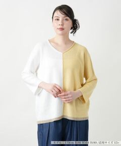 Leilian PLUS HOUSE / レリアンプラスハウス ニット・セーター | 配色Vネックニット【LE TRICOT PERUGIA】