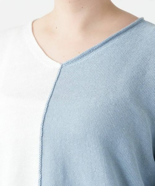 Leilian PLUS HOUSE / レリアンプラスハウス ニット・セーター | 配色Vネックニット【LE TRICOT PERUGIA】 | 詳細13