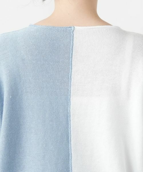 Leilian PLUS HOUSE / レリアンプラスハウス ニット・セーター | 配色Vネックニット【LE TRICOT PERUGIA】 | 詳細14