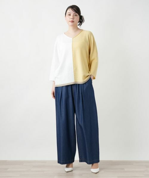 Leilian PLUS HOUSE / レリアンプラスハウス ニット・セーター | 配色Vネックニット【LE TRICOT PERUGIA】 | 詳細4