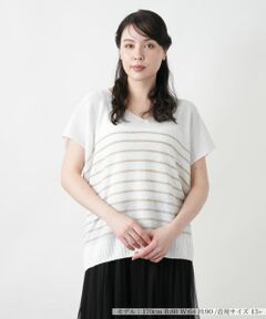 Leilian PLUS HOUSE / レリアンプラスハウス ニット・セーター | 【店舗人気】ボーダーVネックニット【LE TRICOT PERUGIA】