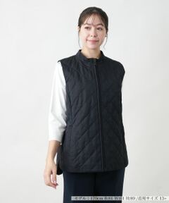 Leilian PLUS HOUSE / レリアンプラスハウス テーラードジャケット | 【店舗人気】中わたベスト