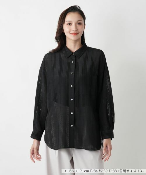 Leilian PLUS HOUSE/レリアンプラスハウス 透かしストライプブラウス ブラック 13+