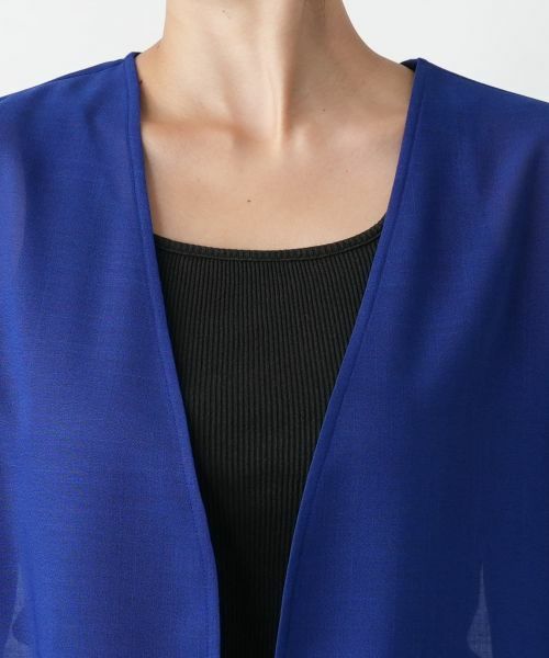 Leilian PLUS HOUSE / レリアンプラスハウス テーラードジャケット | 【店舗人気】ノーカラージャケット【BOURGE】 | 詳細10