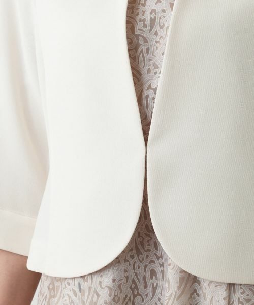 Leilian PLUS HOUSE / レリアンプラスハウス テーラードジャケット | 【店舗人気】ノーカラージャケット | 詳細12