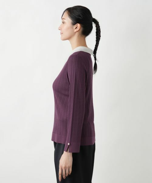 Leilian PLUS HOUSE / レリアンプラスハウス ニット・セーター | 【店舗人気】クラシカルカラーニット | 詳細11