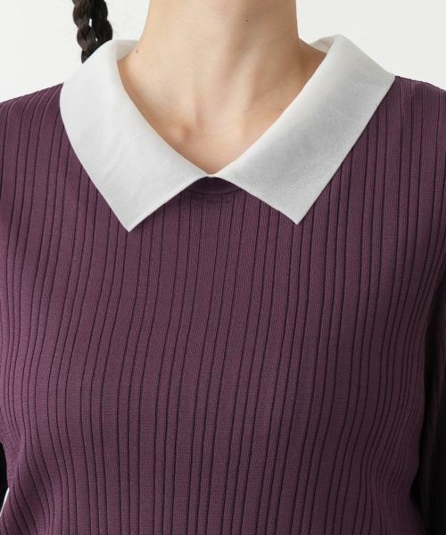 Leilian PLUS HOUSE / レリアンプラスハウス ニット・セーター | 【店舗人気】クラシカルカラーニット | 詳細13