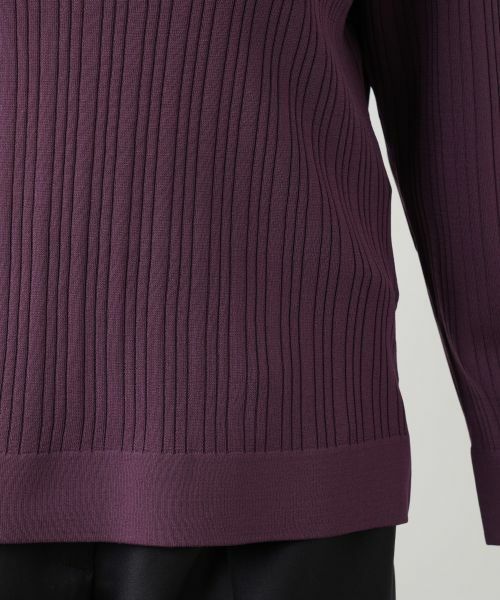 Leilian PLUS HOUSE / レリアンプラスハウス ニット・セーター | 【店舗人気】クラシカルカラーニット | 詳細17
