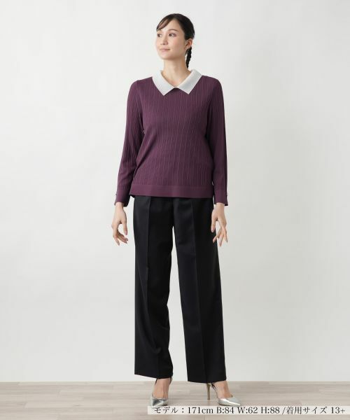 Leilian PLUS HOUSE / レリアンプラスハウス ニット・セーター | 【店舗人気】クラシカルカラーニット | 詳細7