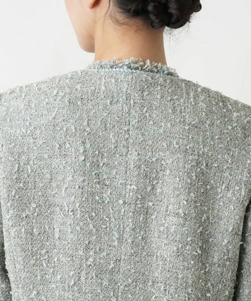 Leilian PLUS HOUSE / レリアンプラスハウス テーラードジャケット | 【店舗人気】フリンジジャケット | 詳細14